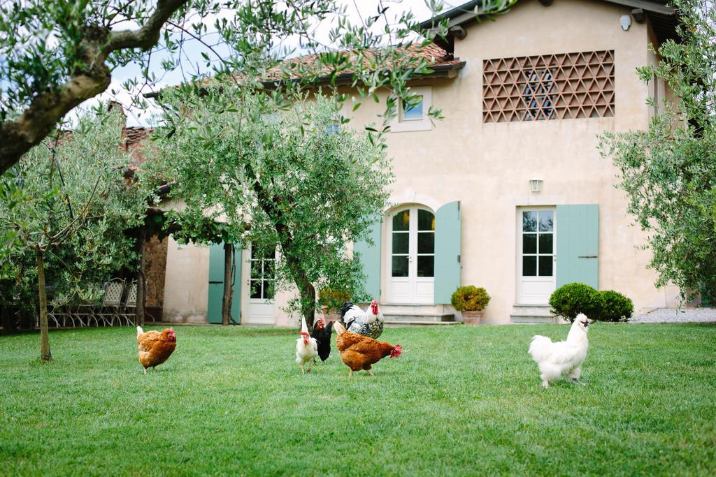 Villa Agriturismo Mareli Camaiore Exterior foto